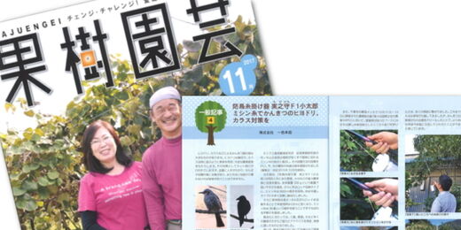 実之守f1小太郎 果樹園芸
