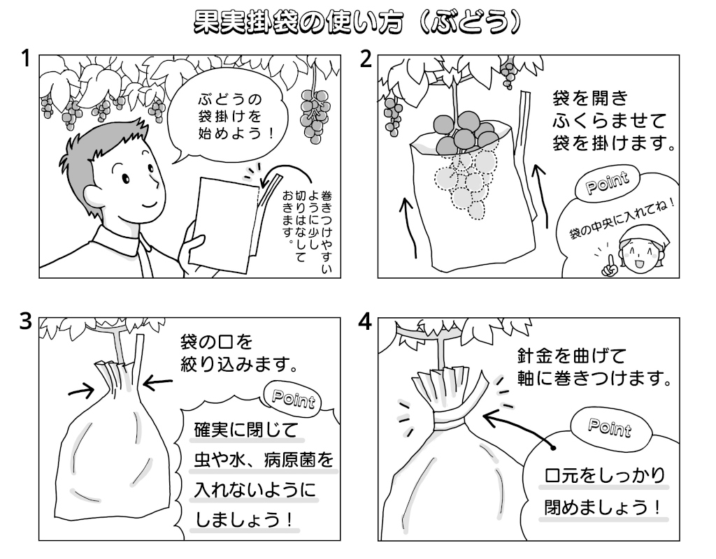 ぶどう用掛袋の使い方