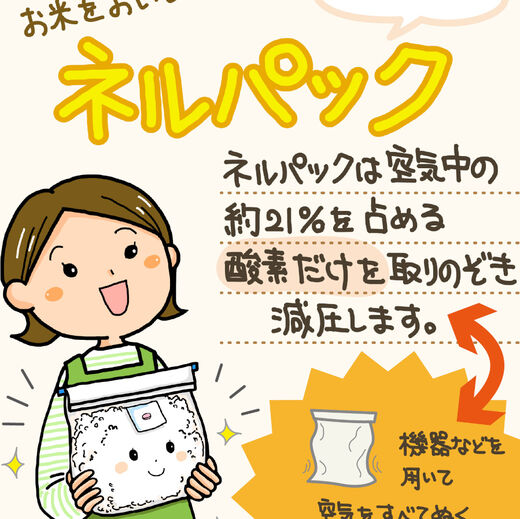 ネルパックの4コマ解説を追加