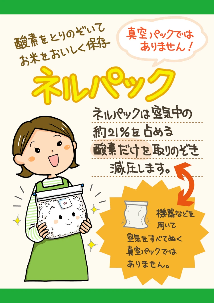 4コマで解説 Nelpack